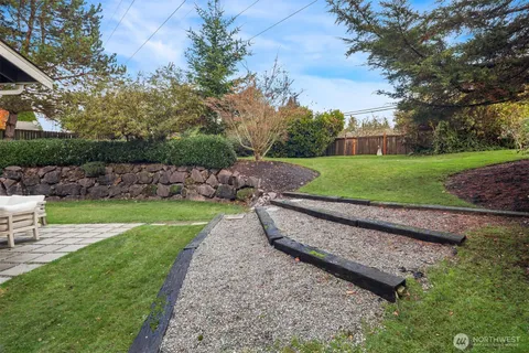 a view of a park with large trees