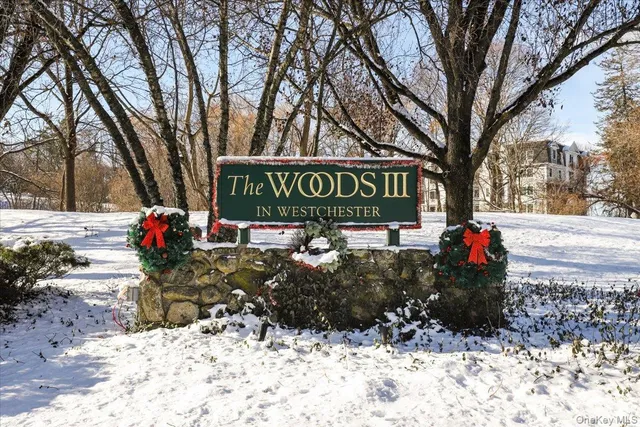 a view of a park with trees