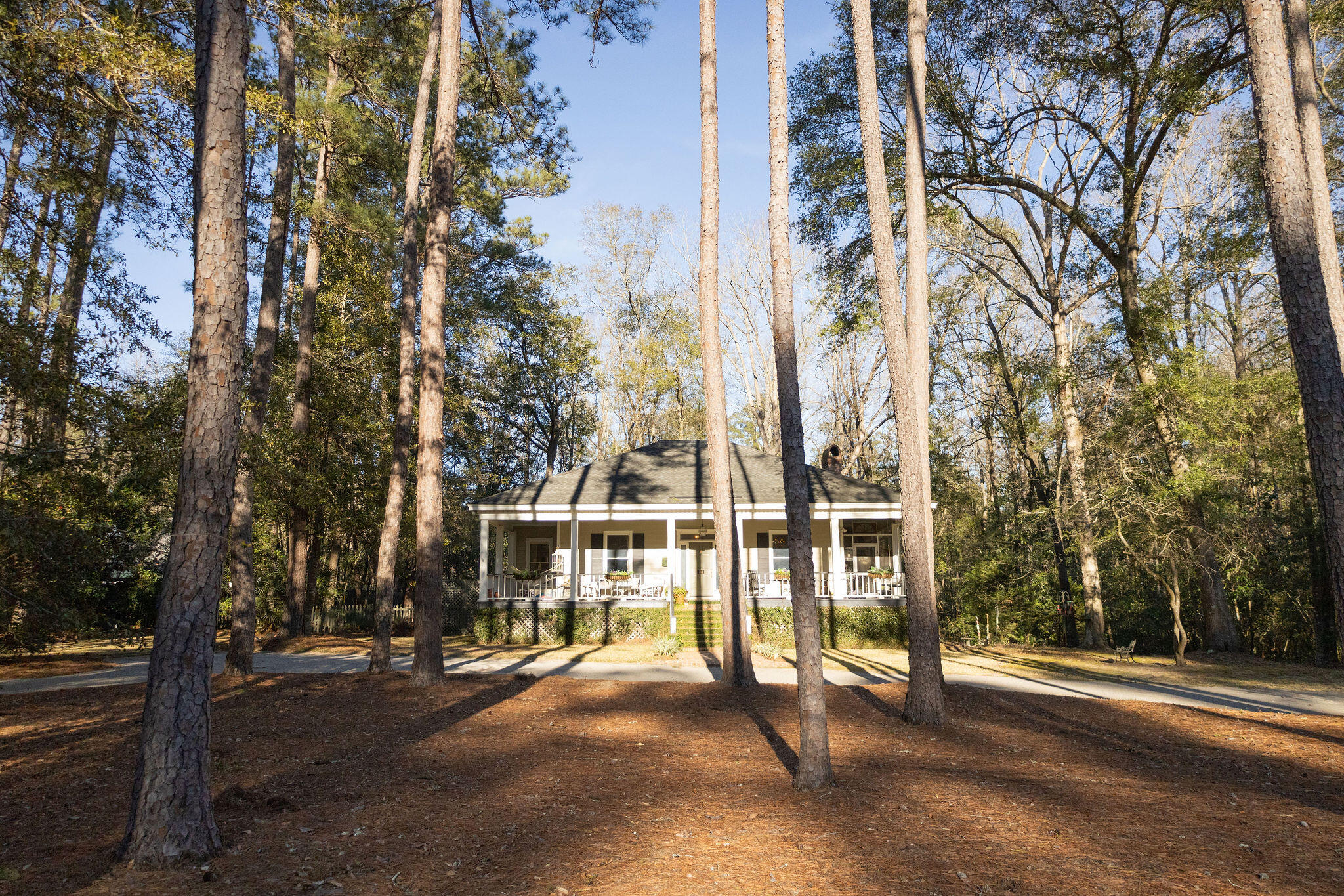 318 Lynnwood Road Walterboro, SC 29488 - Photo 1 of 54 3T6A1193