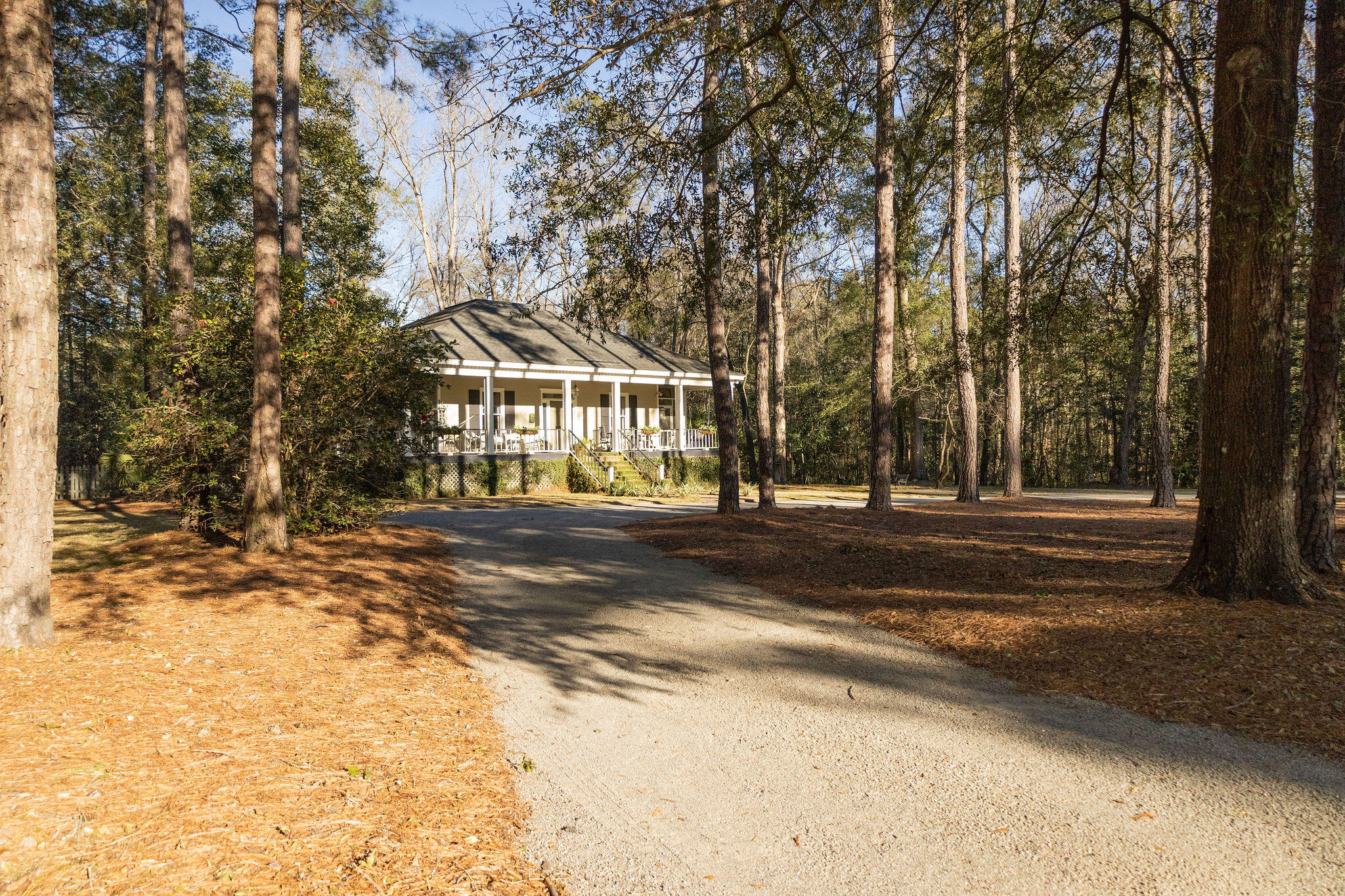 318 Lynnwood Road Walterboro, SC 29488 - Photo 3 of 54 3T6A1196