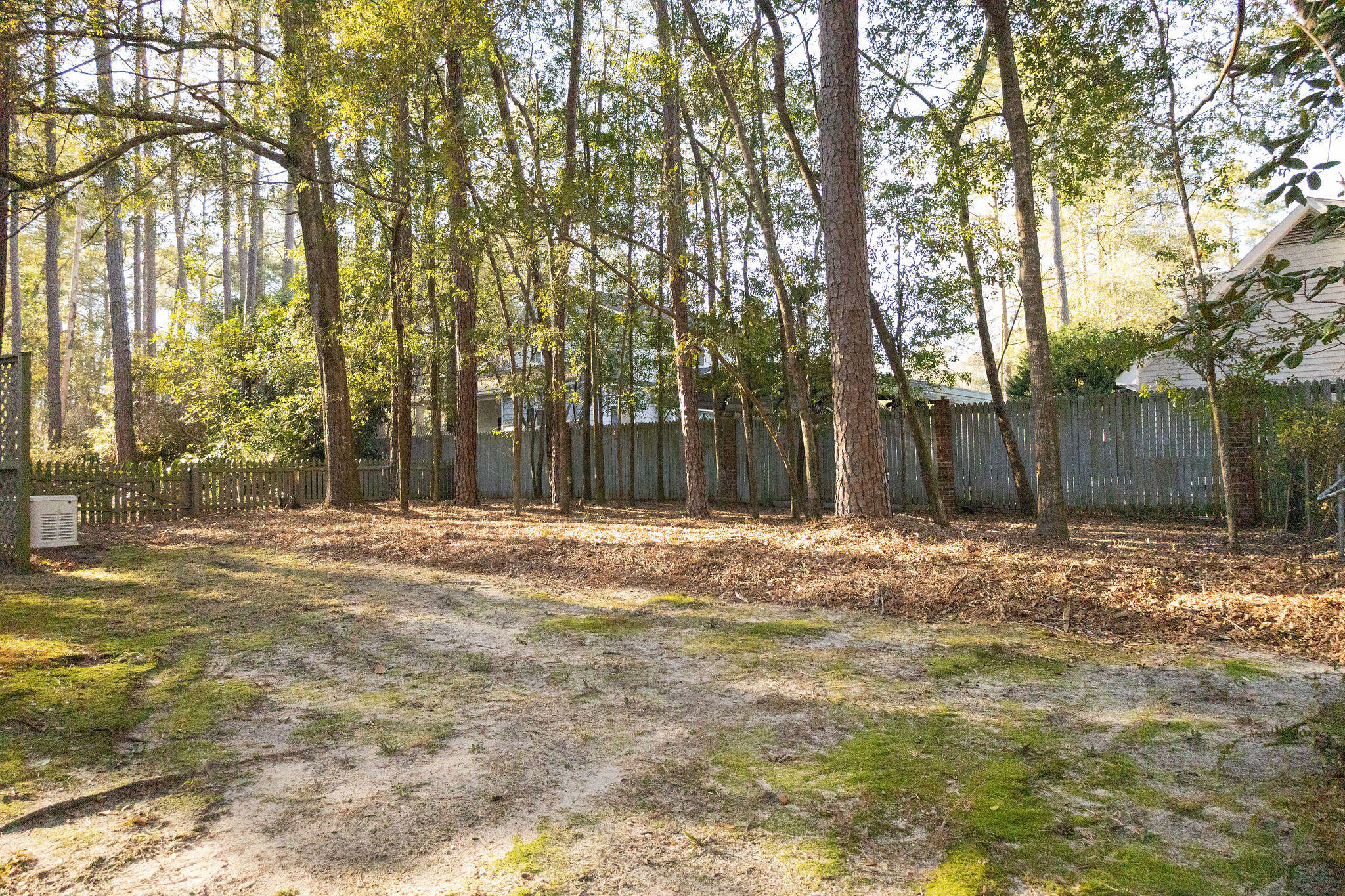318 Lynnwood Road Walterboro, SC 29488 - Photo 54 of 54 3T6A1210