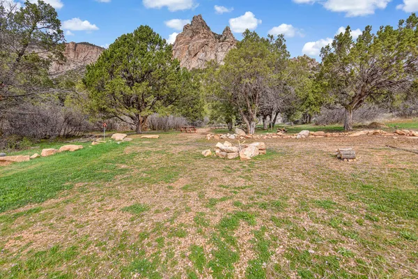 a view of a yard with large trees