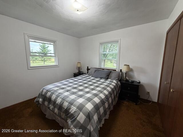 9230 West Howe Road Eagle, MI 48822 - Photo 5 of 29 IMG_5017