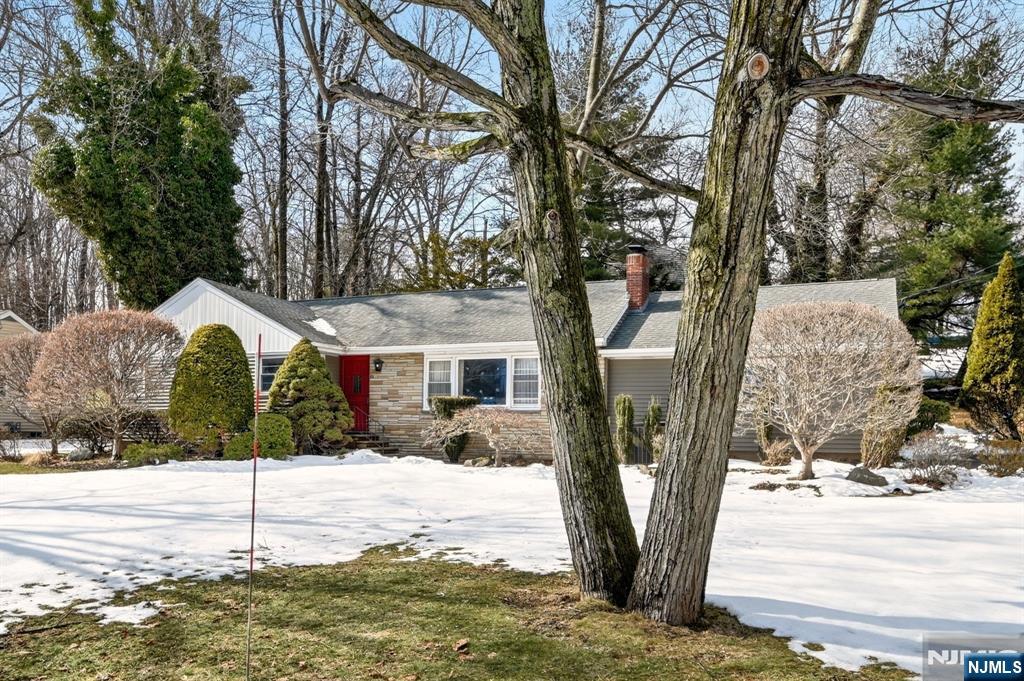 62 2nd Street Park Ridge, NJ 07656 - Photo 3 of 34