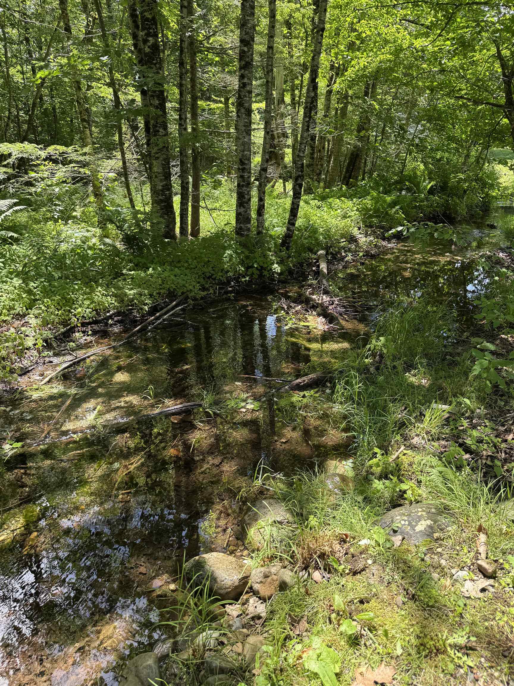 44 North Pond Road Salisbury, VT 05769 - Photo 22 of 24