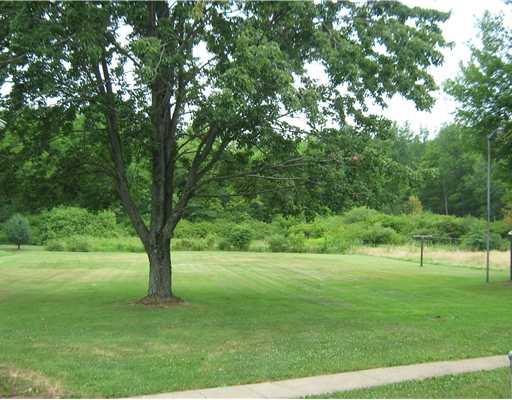 1843 Brent Road Volant, PA 16156 - Photo 5 of 12 Yard/Garden.