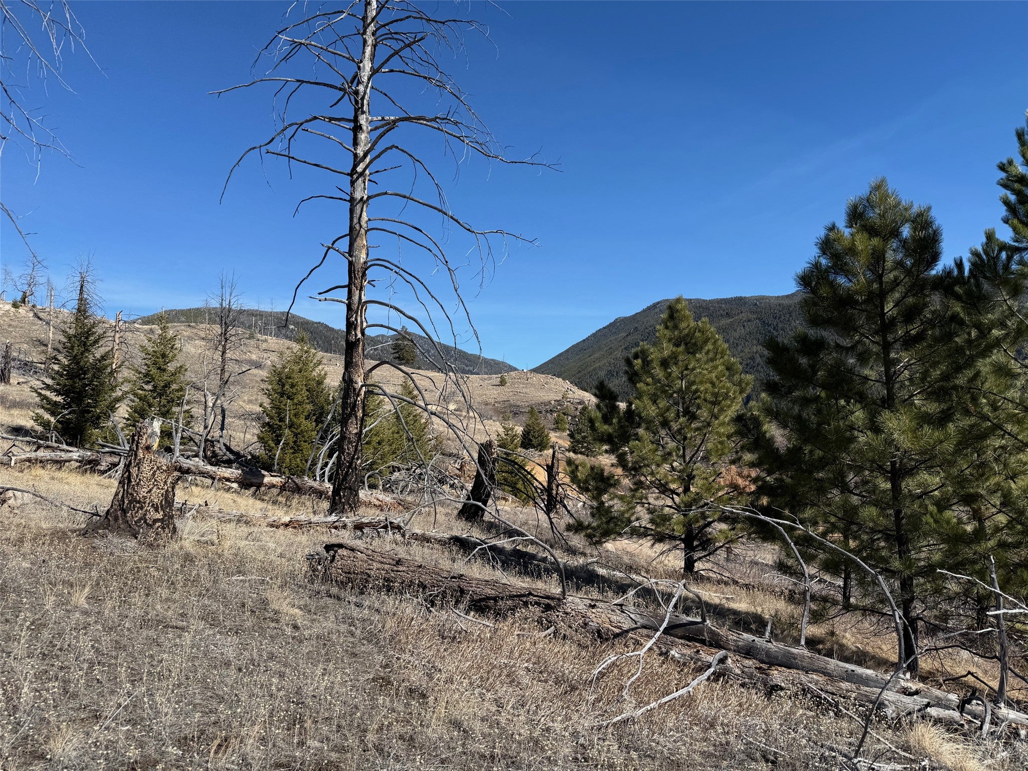 83 Nursery Creek Road Boulder, MT 59632 - Photo 14 of 62 Gallery Image 14