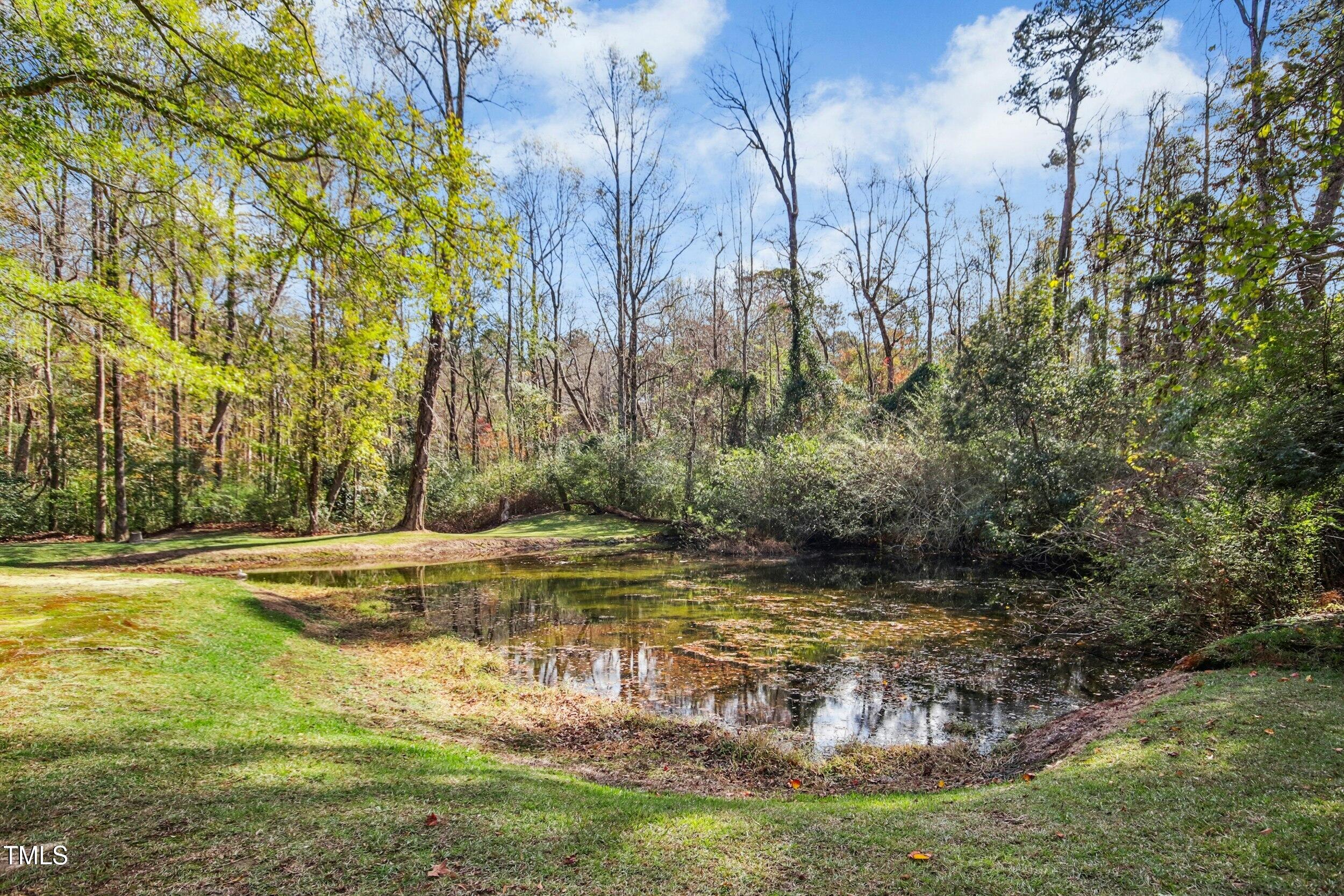 460 Mann Road Coats, NC 27521 - Photo 41 of 52 041-480435-IMG_6275