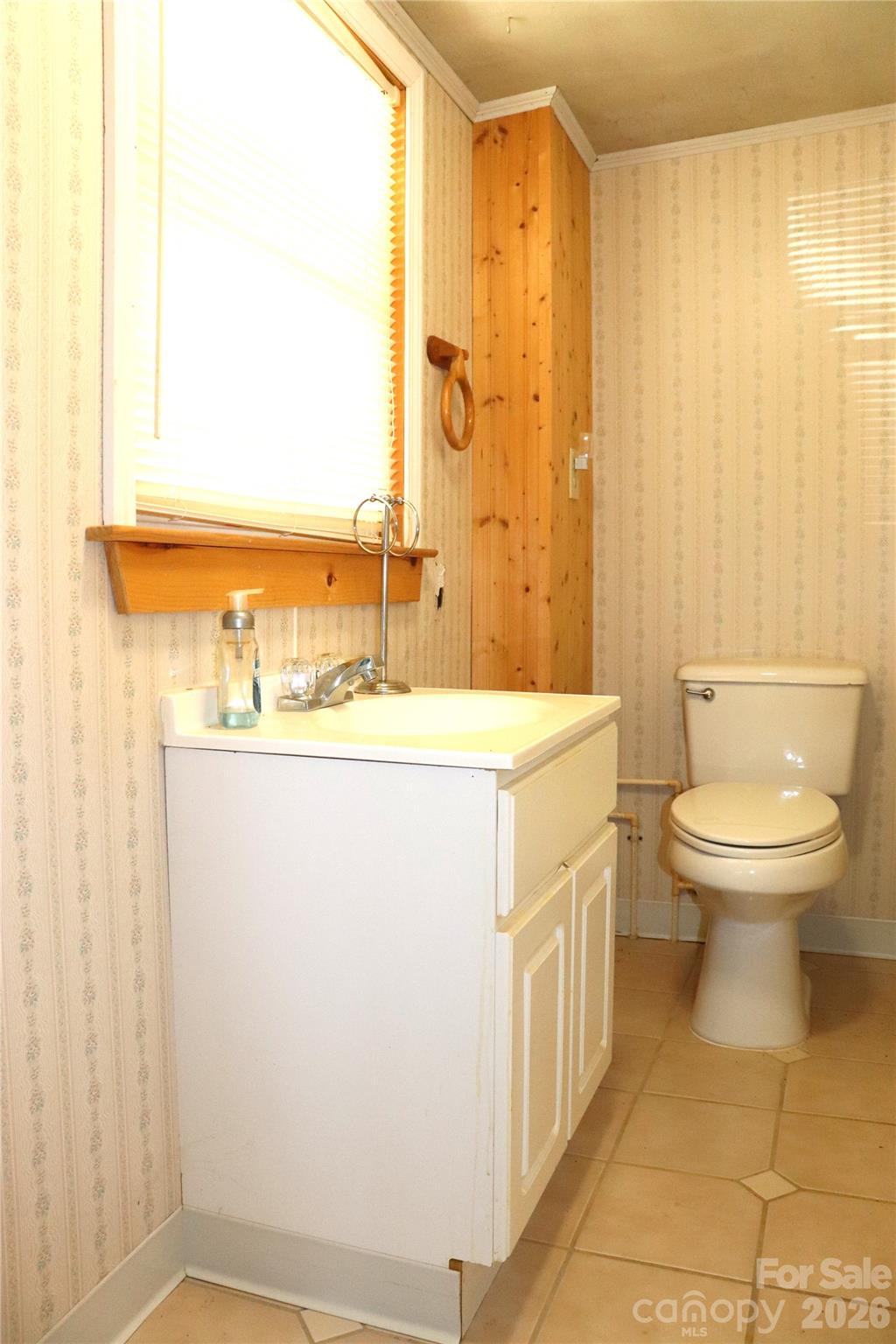 4543 Horseshoe Bend Road Hudson, NC 28638 - Photo 22 of 38 a bathroom with a sink a toilet and mirror