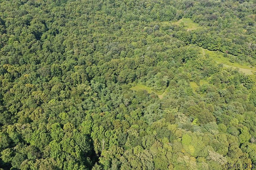 Ridge Road Rockwood, PA 15557 - Photo 11 of 22