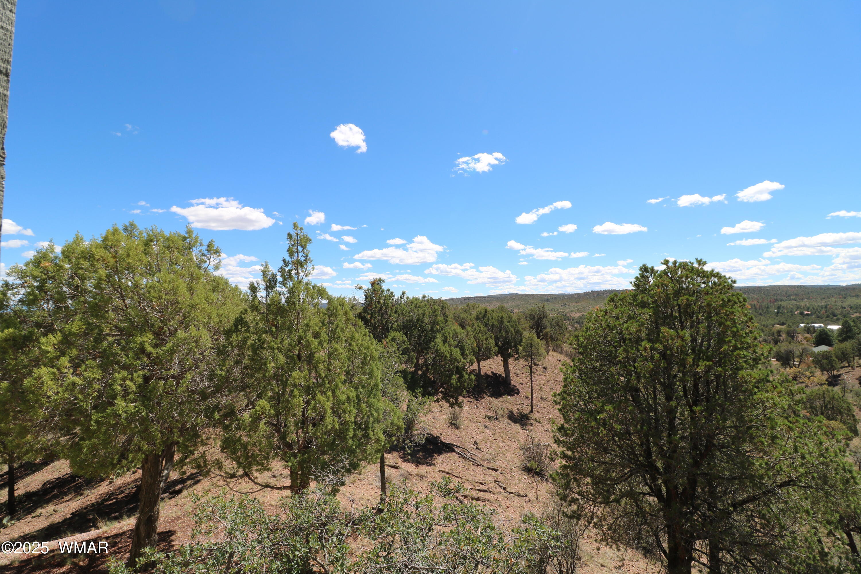 5287 Alserita Road Show Low, AZ 85901 - Photo 11 of 35 IMG_7885