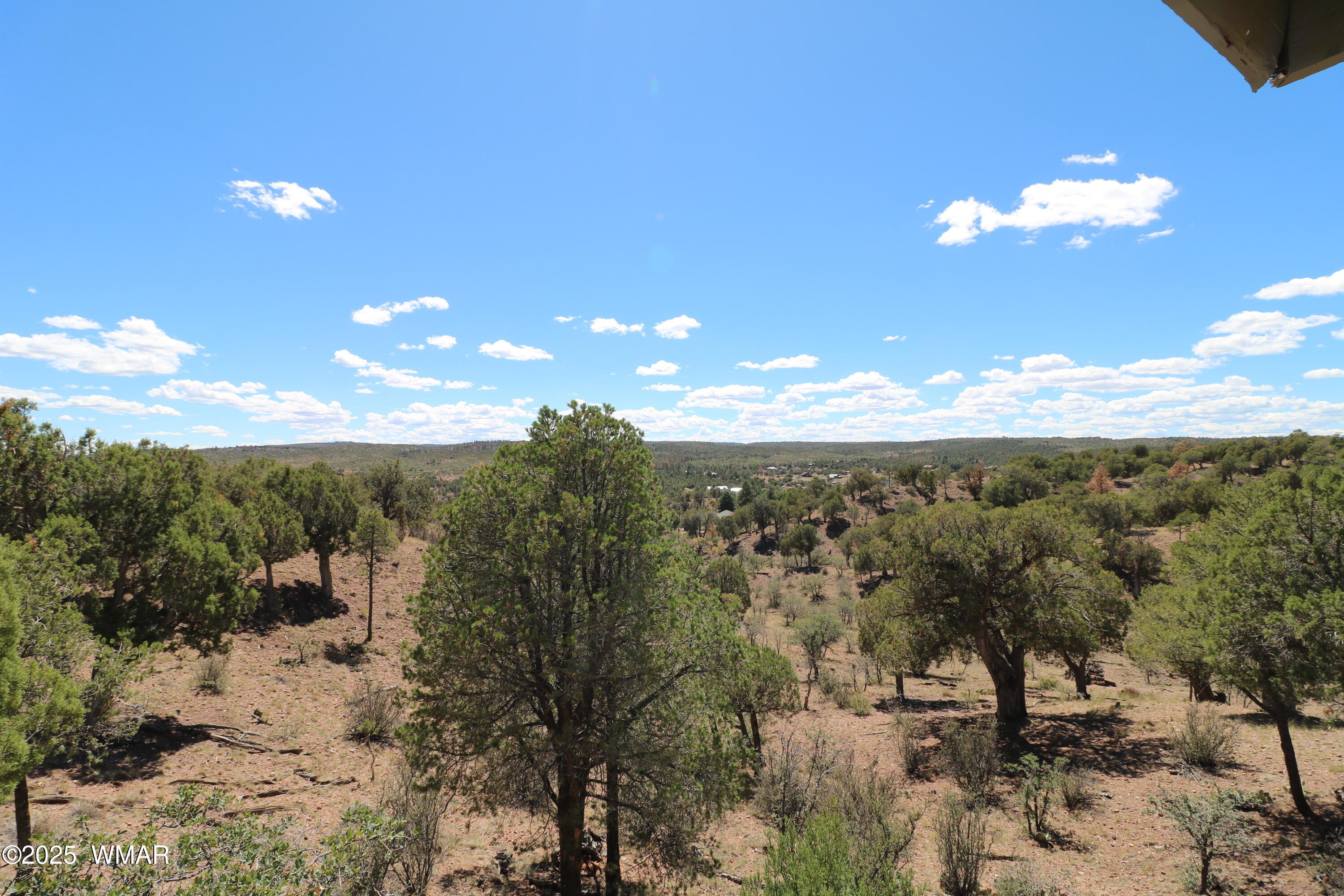 5287 Alserita Road Show Low, AZ 85901 - Photo 13 of 35 IMG_7886