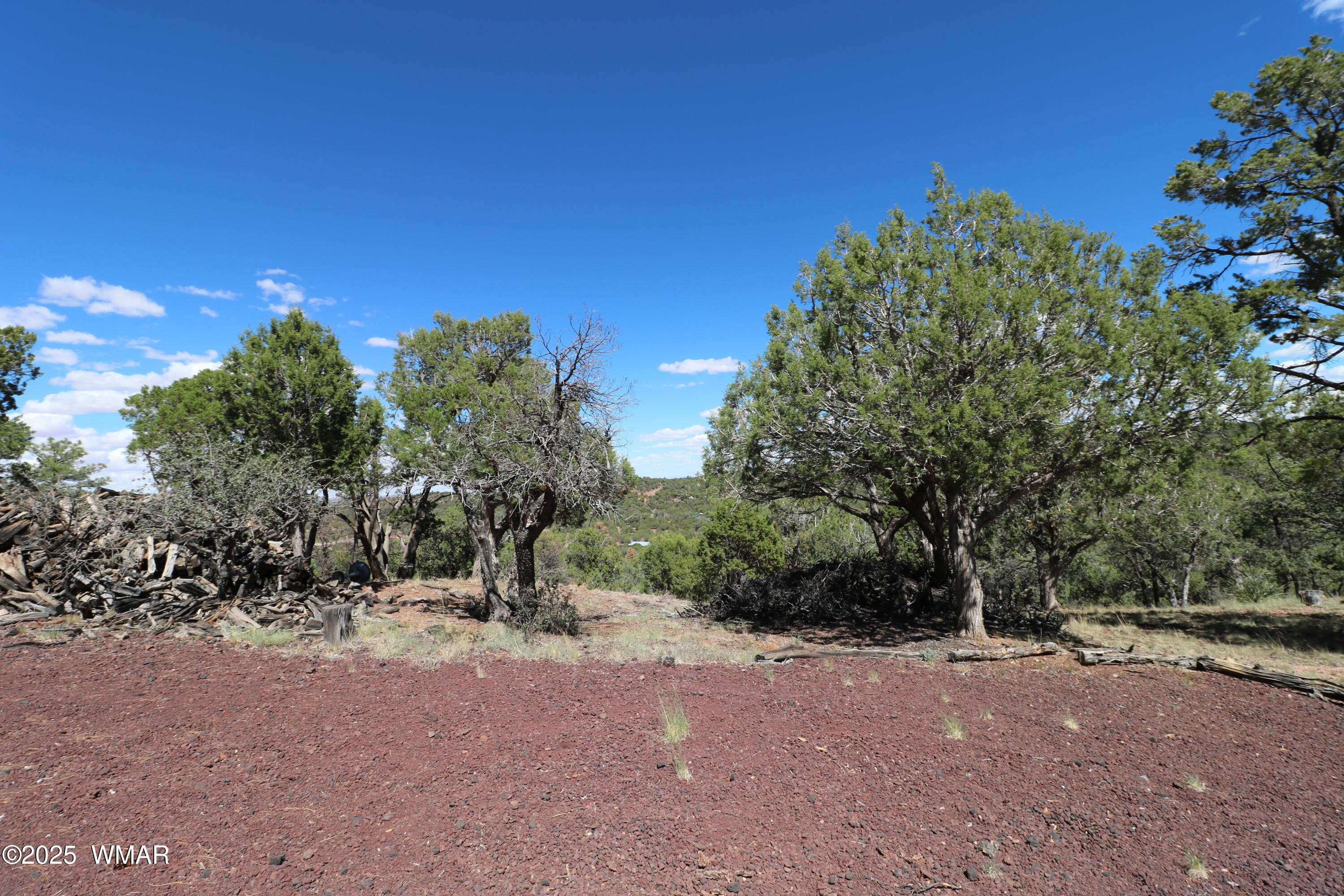 5287 Alserita Road Show Low, AZ 85901 - Photo 30 of 35 IMG_7892