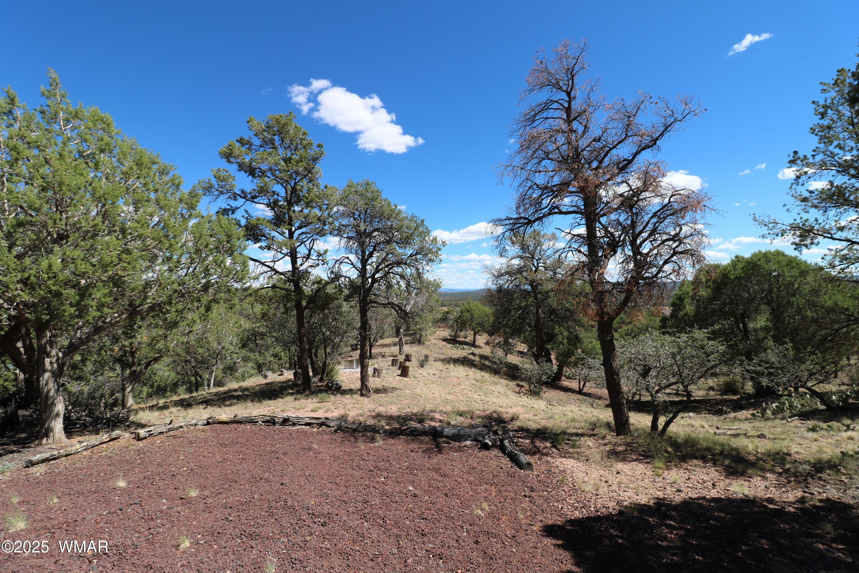 5287 Alserita Road Show Low, AZ 85901 - Photo 31 of 35 IMG_7893