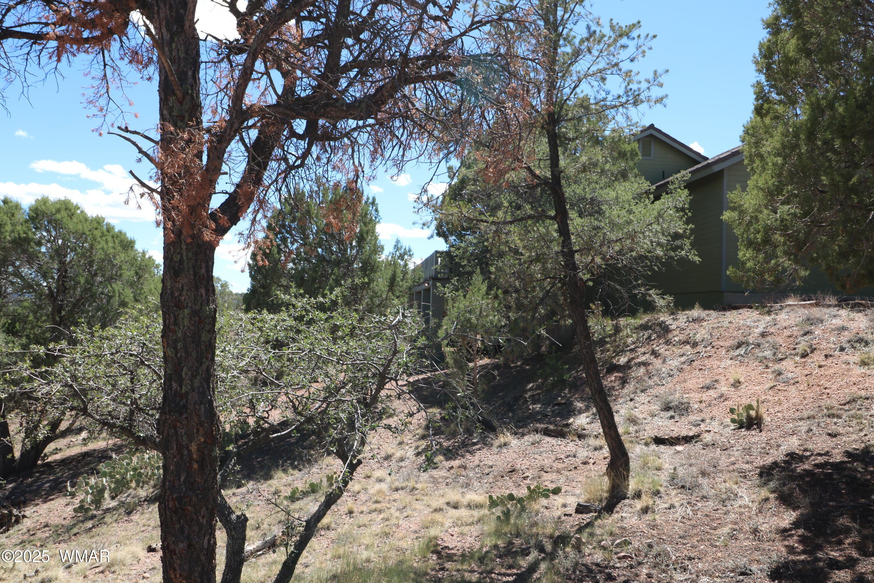 5287 Alserita Road Show Low, AZ 85901 - Photo 32 of 35 IMG_7894