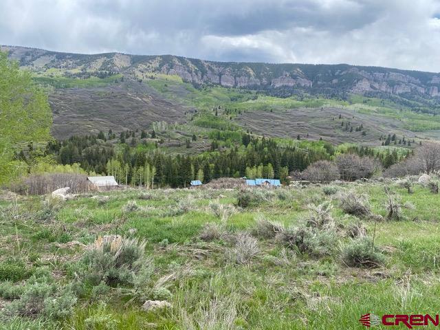 289 Eagles Rest Drive Montrose, CO 81403 - Photo 3 of 10 a view of outdoor space and yard