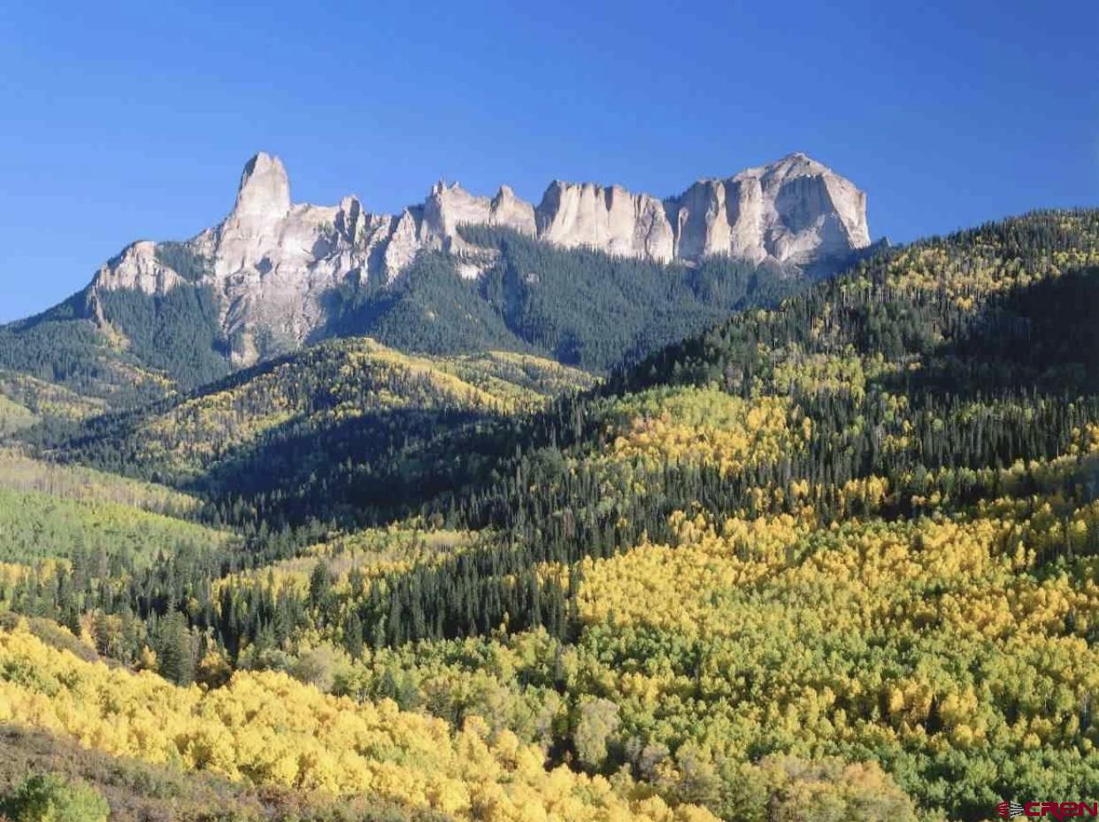 289 Eagles Rest Drive Montrose, CO 81403 - Photo 5 of 10 a view of a street