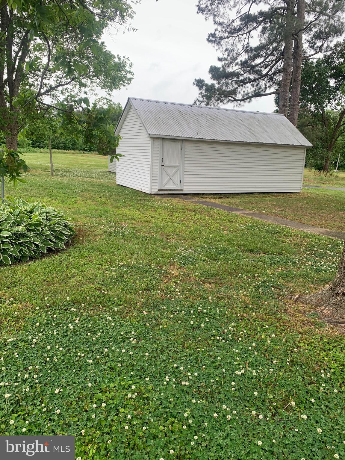 1007 Hudson Road Cambridge, MD 21613 - Photo 5 of 16 Charming shed amidst lush greenery.