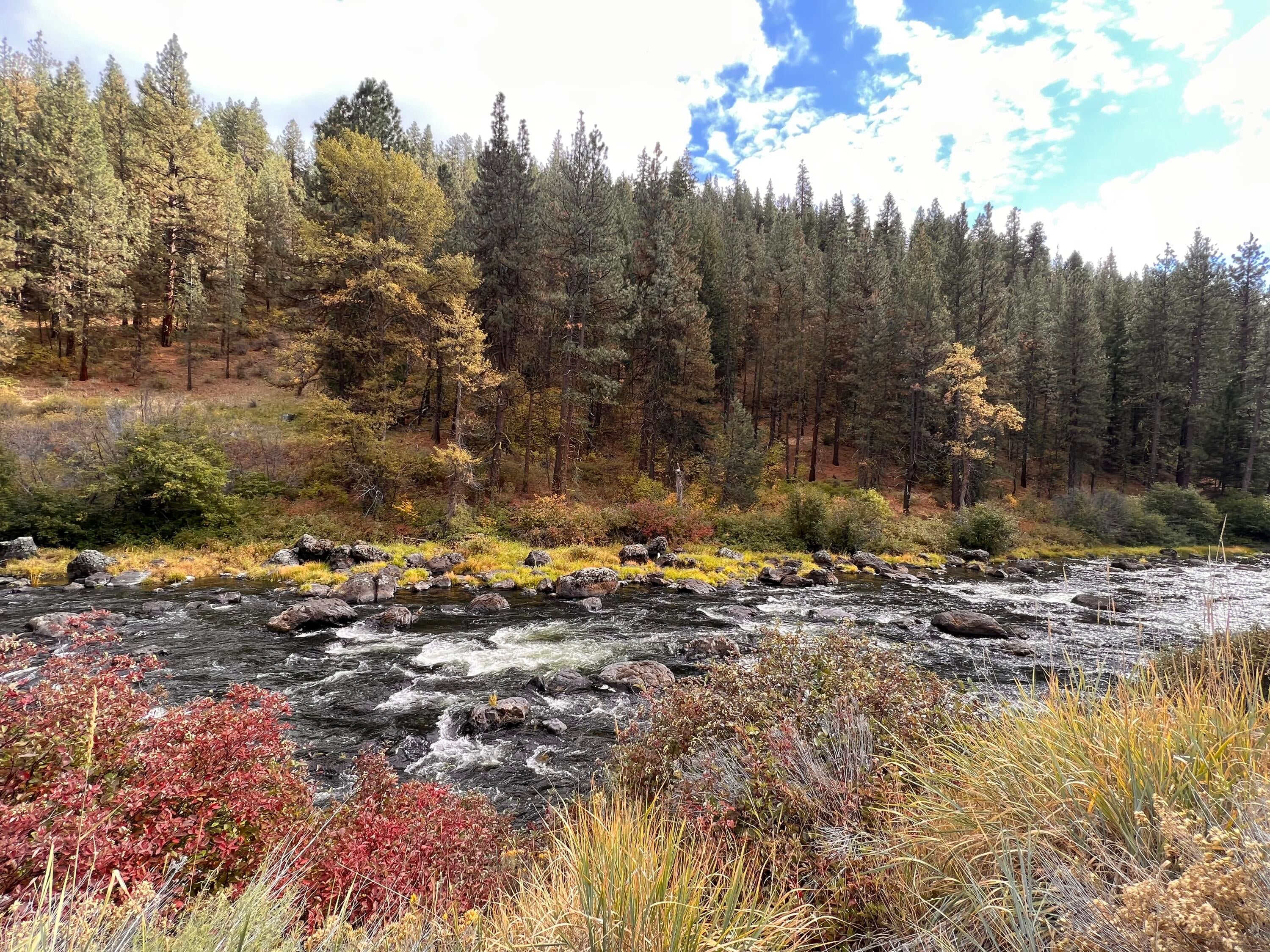 9615 Williamson River Road Chiloquin, OR 97624 - Photo 46 of 60 Near by River