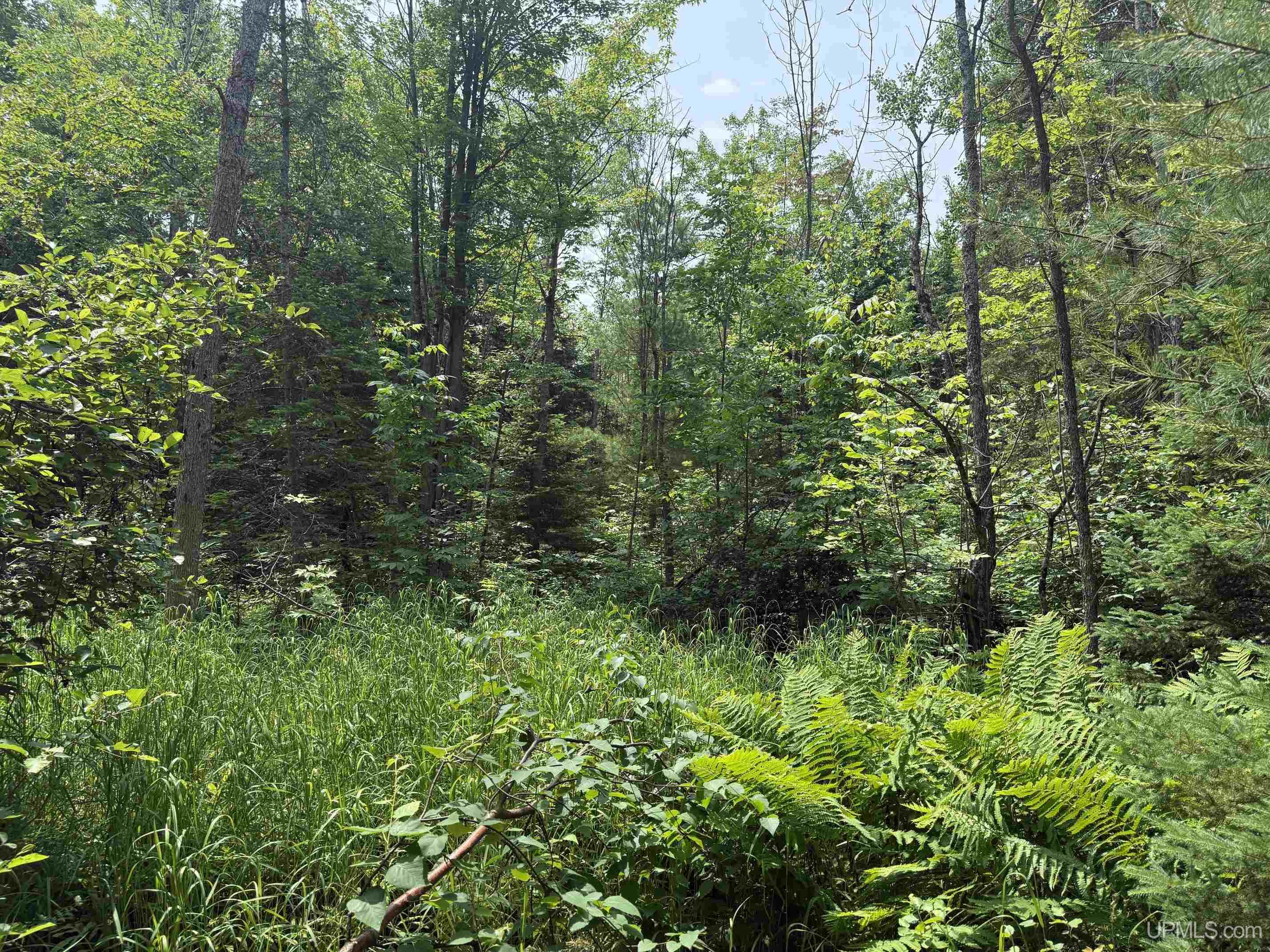 Tbd42 Skanee Road Lanse, MI 49946 - Photo 11 of 15