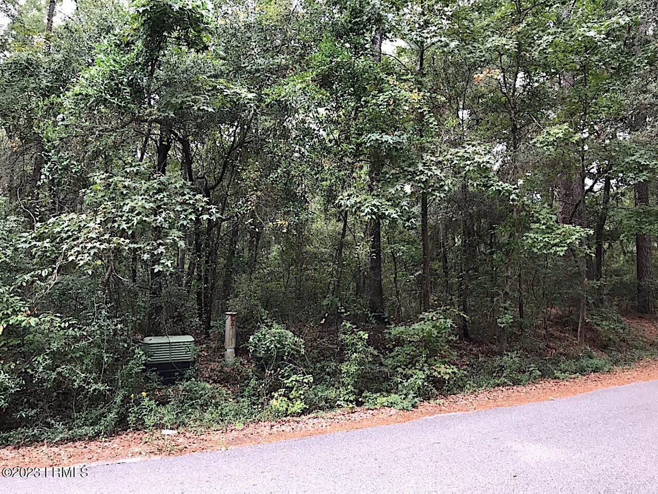 25 Spring Knob Circle Beaufort, SC 29907 - Photo 11 of 12 IMG_2885