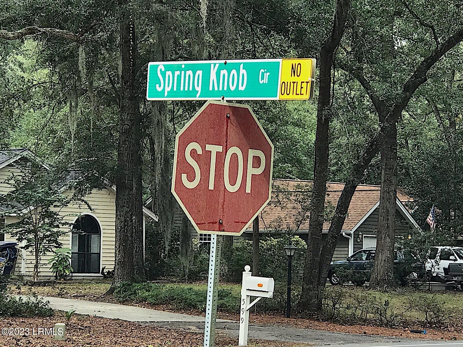 25 Spring Knob Circle Beaufort, SC 29907 - Photo 12 of 12 IMG_2899