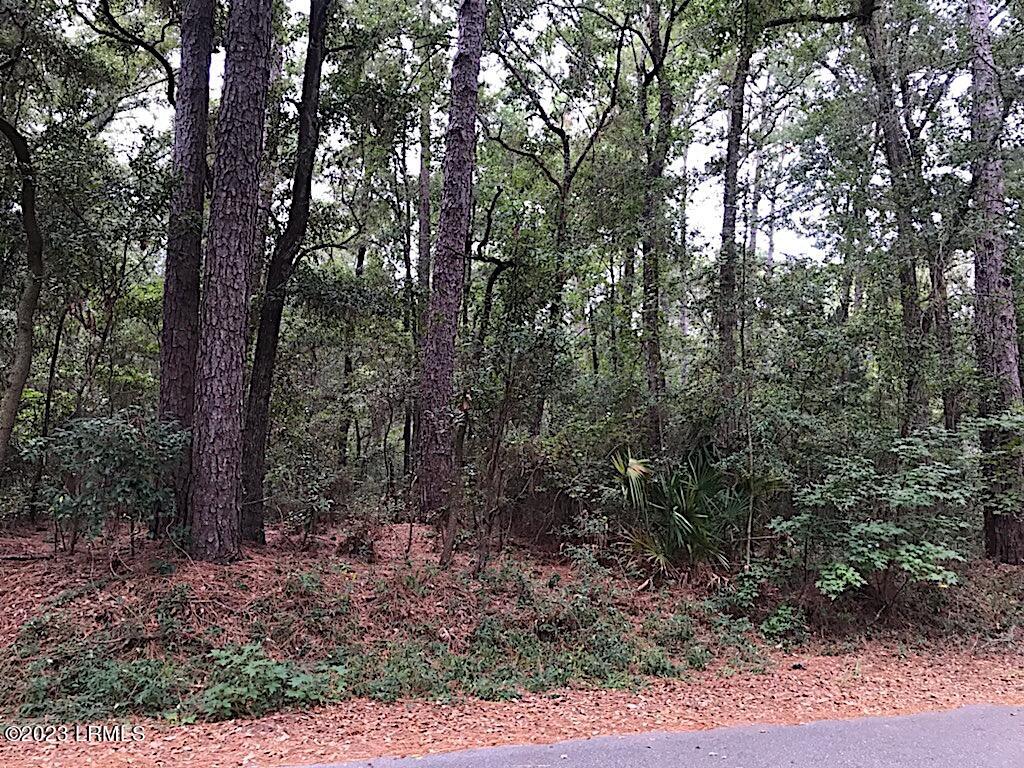 25 Spring Knob Circle Beaufort, SC 29907 - Photo 10 of 12 IMG_2891