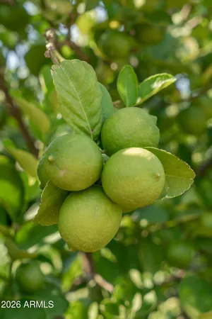 $2,290,000 | 14619 East Roy Rogers Road, Scottsdale, AZ 85262