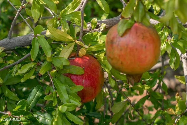 $2,290,000 | 14619 East Roy Rogers Road, Scottsdale, AZ 85262