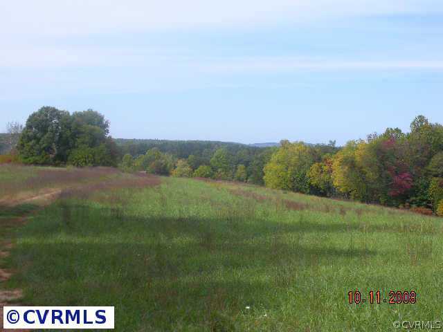 0 Glover Road Dillwyn, VA 23936 - Photo 3 of 10 a view of a field with an trees