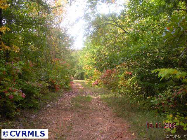 0 Glover Road Dillwyn, VA 23936 - Photo 8 of 10 a view of a field