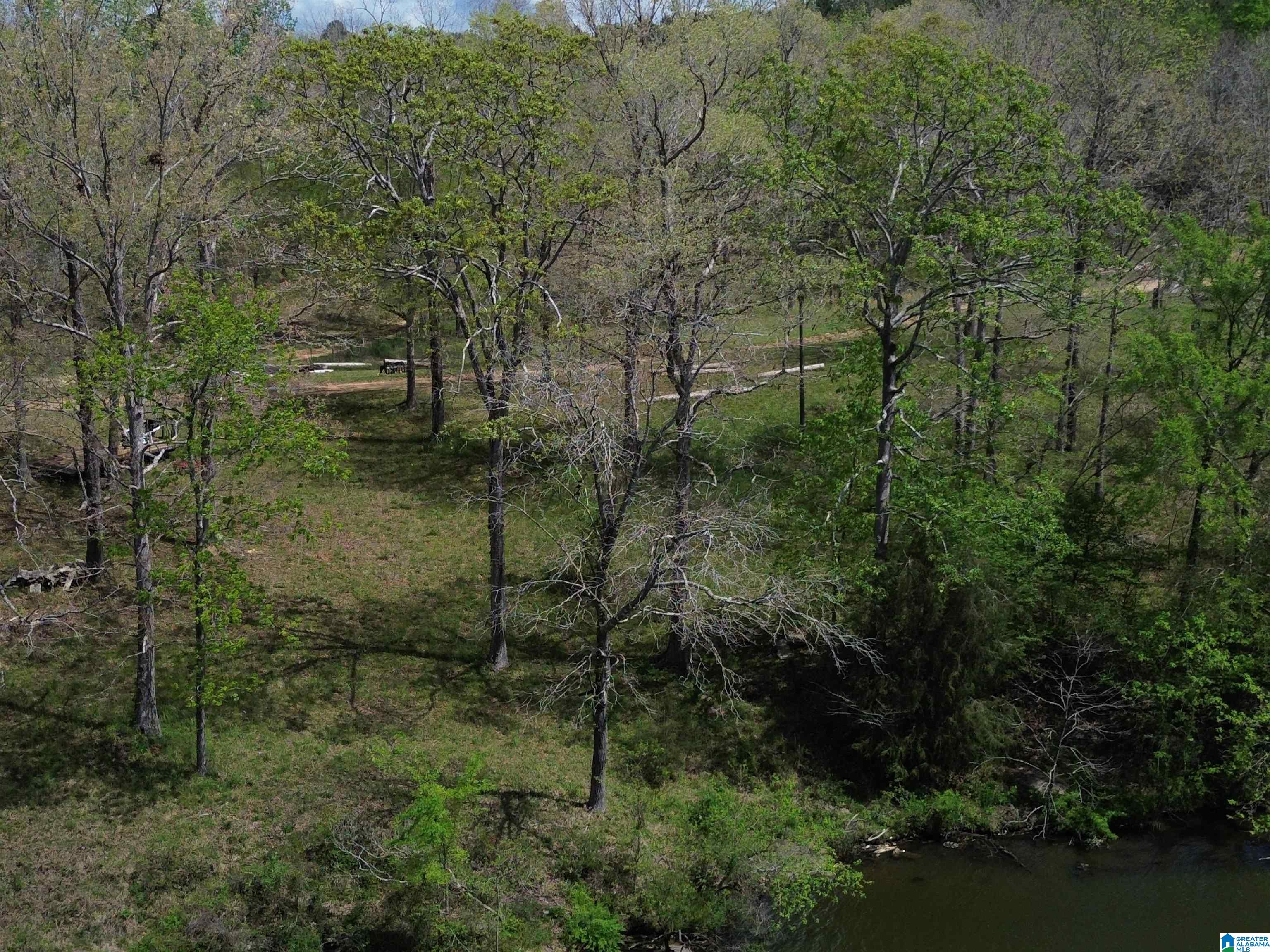 304 Barnes Road, Unit 2 Bessemer, AL 35023 - Photo 5 of 8