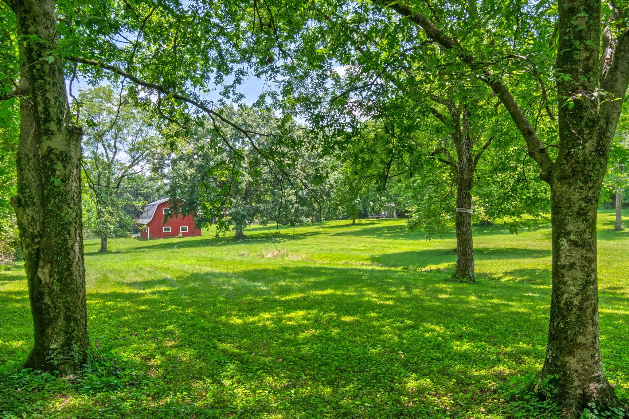 1740 Hudson Road Madison, TN 37115 - Photo 83 of 100 Gallery Image 83