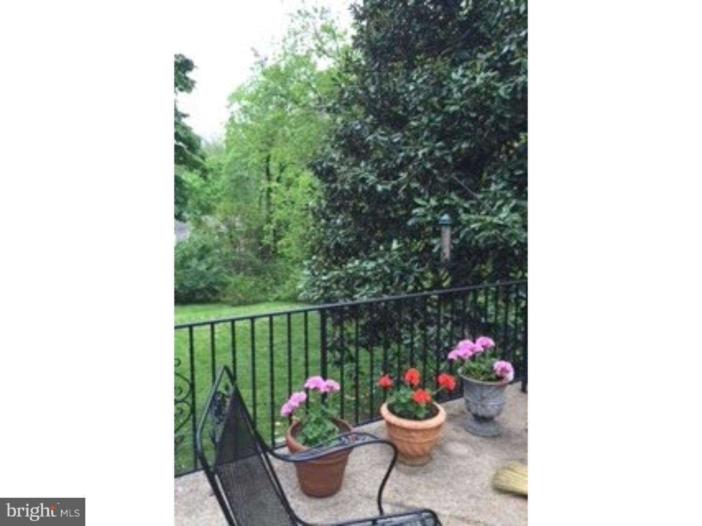 411 Fishers Road Bryn Mawr, PA 19010 - Photo 16 of 22 View in Back