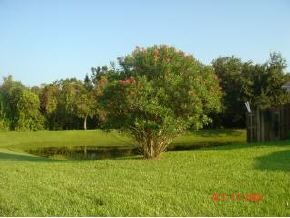 2325 High Ridge Road Palm Shores, FL 32935 - Photo 2 of 8 Additional Photo