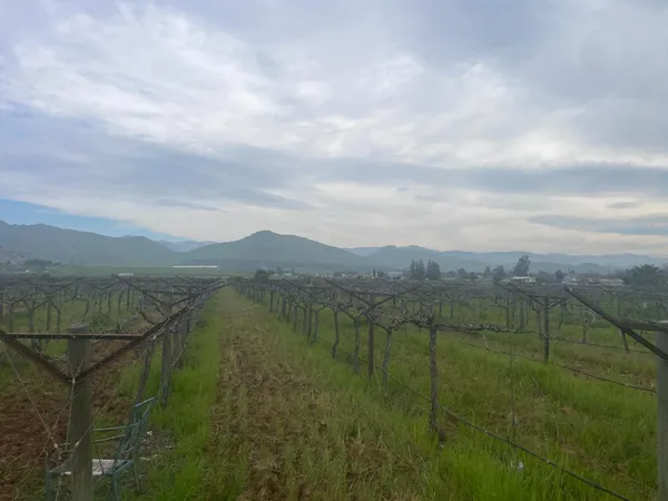 $1,300,000 | 0 East Olive Avenue East, Porterville, CA 93257