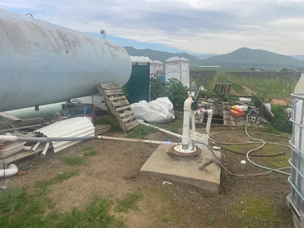a room with lots of potted plants