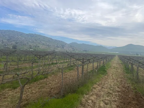 a view of a lake with a mountain in the background