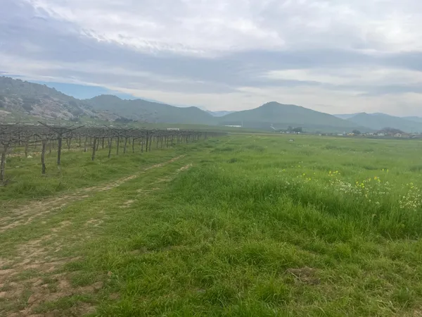 $1,300,000 | 0 East Olive Avenue East, Porterville, CA 93257