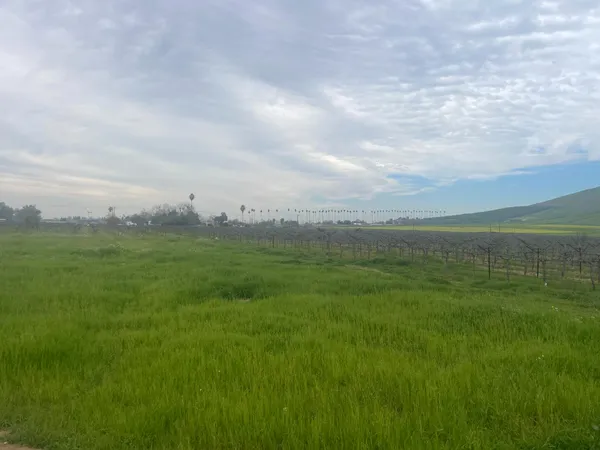$1,300,000 | 0 East Olive Avenue East, Porterville, CA 93257