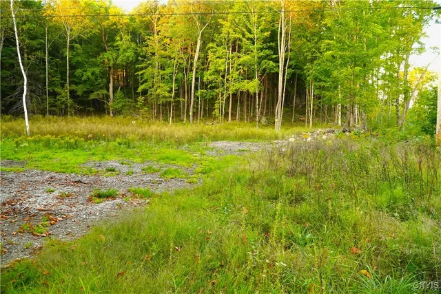 $59,900 | 14100 Melanie Lane, Diana, NY 13648