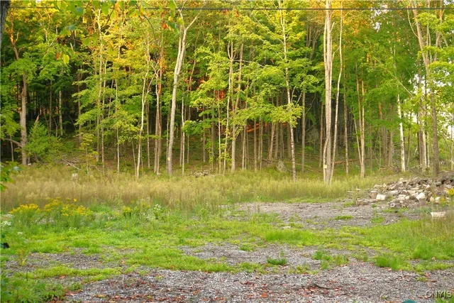 $59,900 | 14100 Melanie Lane, Diana, NY 13648