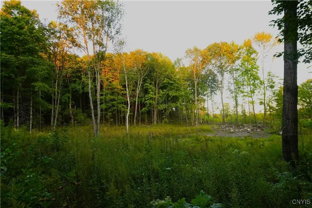 $59,900 | 14100 Melanie Lane, Diana, NY 13648