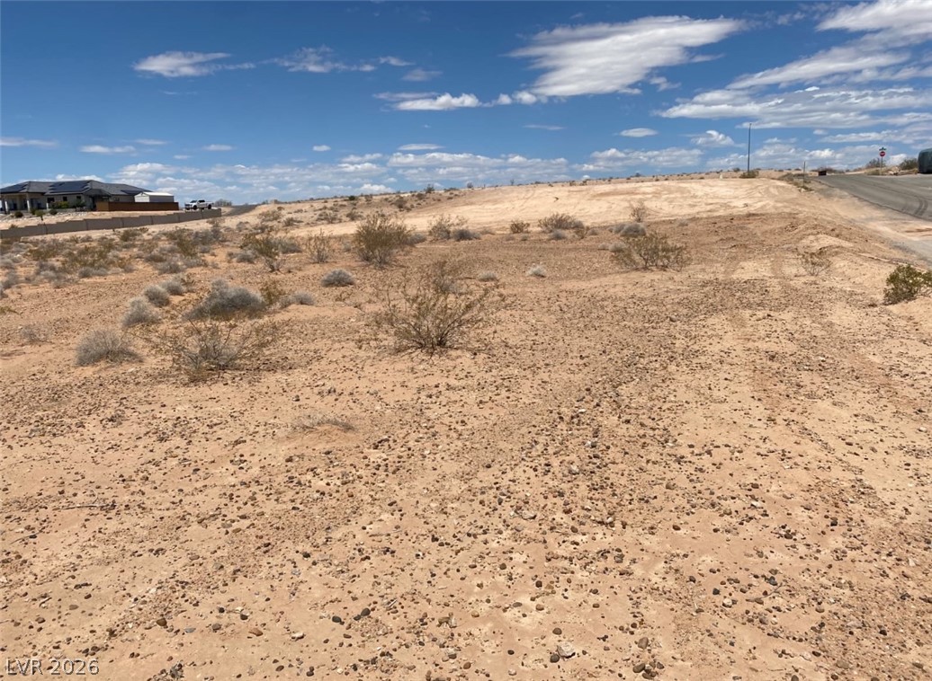 3175 Lou Street Logandale, NV 89021 - Photo 1 of 4 Expansive desert lot offers an ideal setting for your future home.