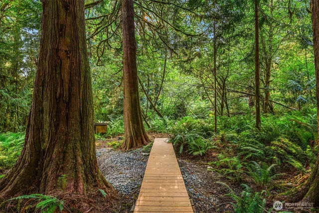 a view of a pathway with a yard