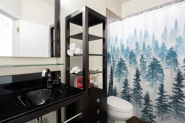 a bathroom with a sink a toilet and a mirror