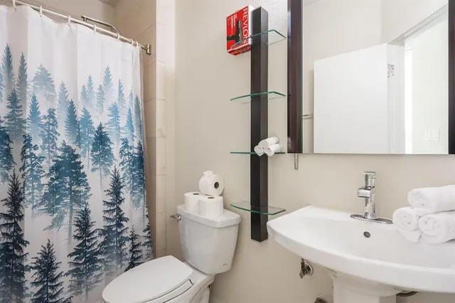 a bathroom with a sink a toilet and shower curtain