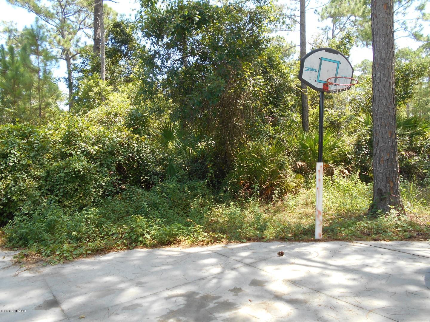 4131 Quail Ranch Road New Smyrna Beach, FL 32168 - Photo 3 of 22 DSCN7285 (Large)