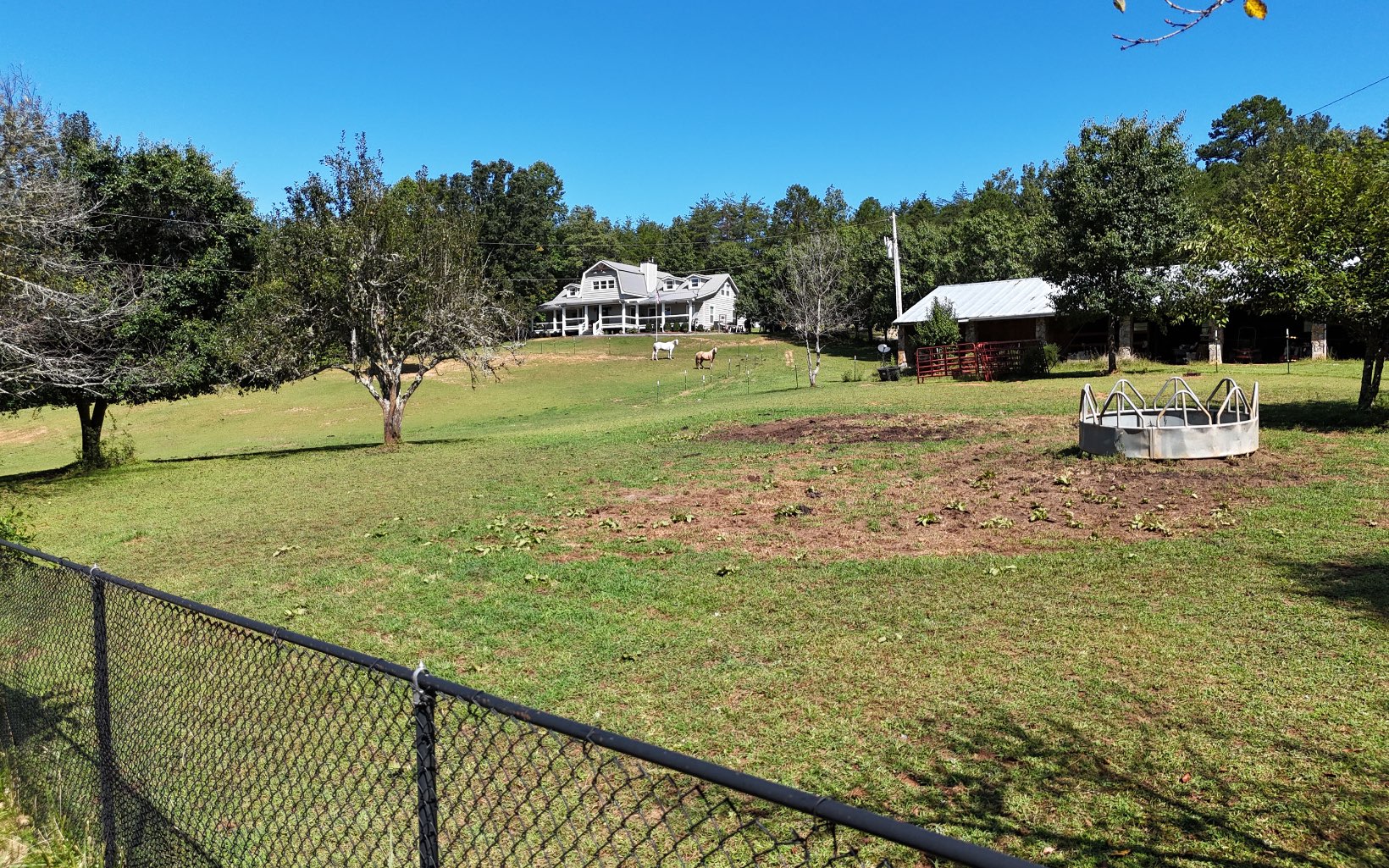 1656 Jonica Gap Road Morganton, GA 30560 - Photo 12 of 52 Additional View
