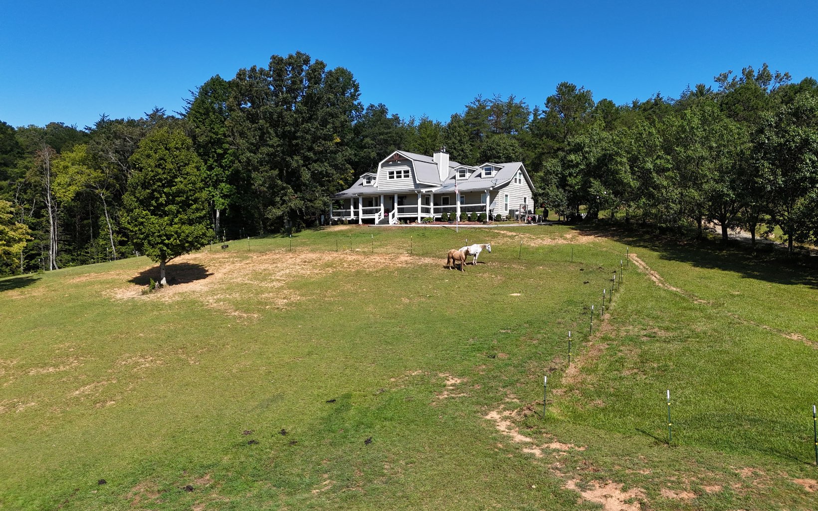 1656 Jonica Gap Road Morganton, GA 30560 - Photo 3 of 52 Additional View